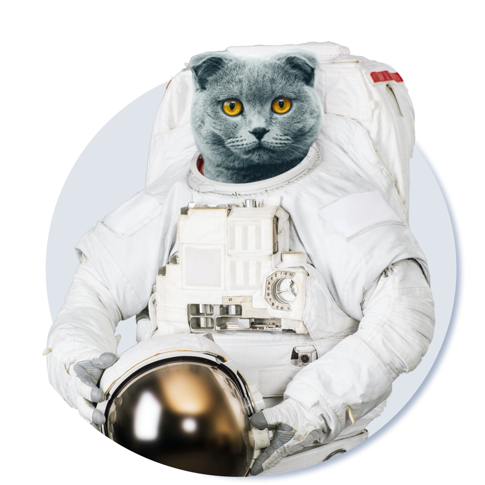 spacecat-3